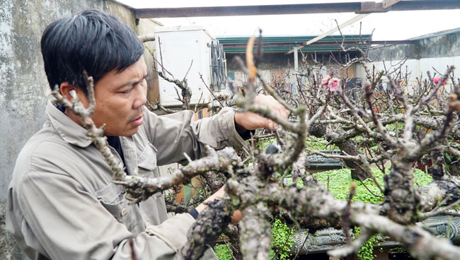 Rét căm căm, đào thất thốn tiến vua được vào phòng điều hòa